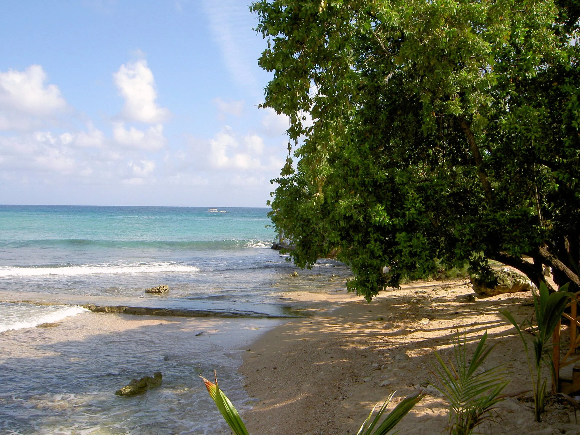A peaceful Jamaican shoreline with turquoise Caribbean water, pale golden sand and tropical greenery — destination photography, not Sandals Caribbean Cay
